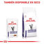 12 saquetas x 85 g Royal Canin Mature Consult Láminas em molho Sachet para gatos, , large Indicador imagem número 5