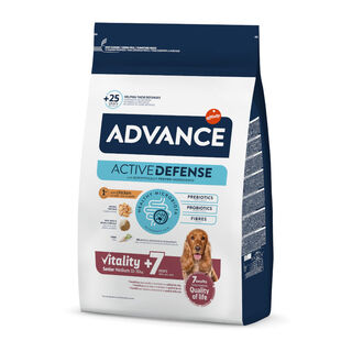 Advance Active Defense Medium Senior +7 Frango e Arroz ração para cães