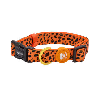Dukier Cheetah Gold coleira para cães