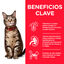 85 g Hill's Science Plan Adult Peixe saqueta para gatos, , large Indicador imagem número 2