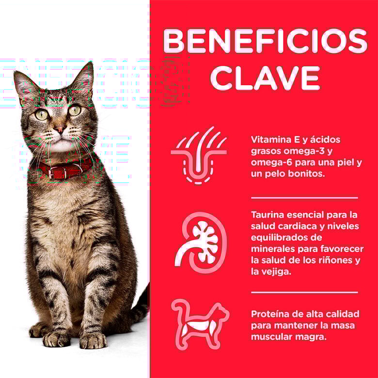 comida_humeda_gatos_hills_bolsitas_adult_pescado_newpack_beneficios_68103_M Imagem número 2 85 g Hill's Science Plan Adult Peixe saqueta para gatos, , large Imagem número 2