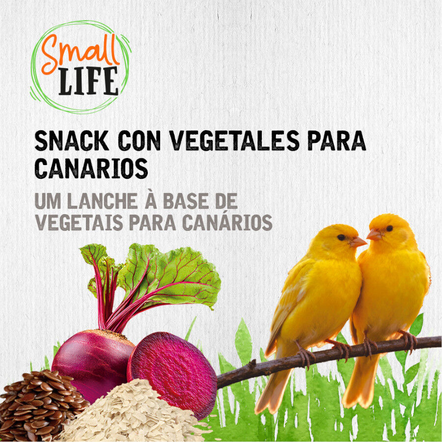 2 barritas Small Life Barritas Snack com Vegetais para can&aacute;rios, , large Imagem n&uacute;mero 4