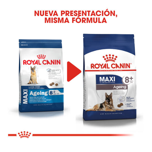 Royal Canin Maxi Ageing 8+ ração para cães, , large image number null