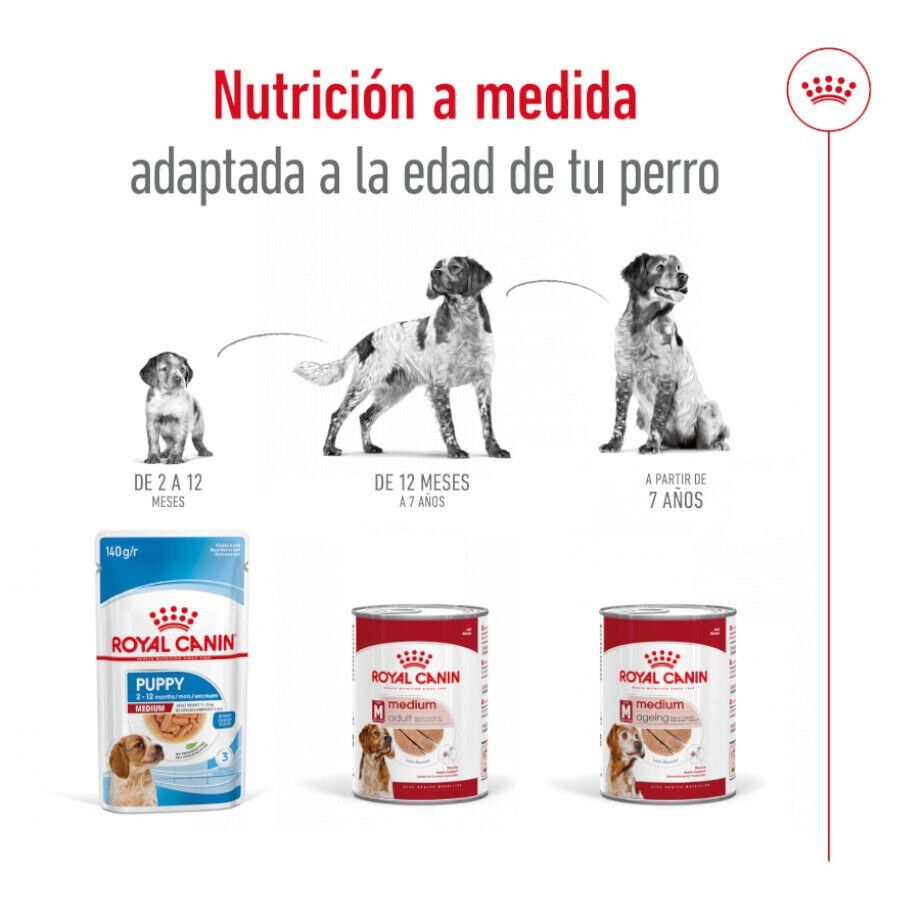 410 g Royal Canin Medium 7+ Ageing lata para c&atilde;es, , large Imagem n&uacute;mero 5