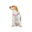 Dukier Clássico Peitoral com Estampado de Princesas para cães, , large Indicador imagem número 2