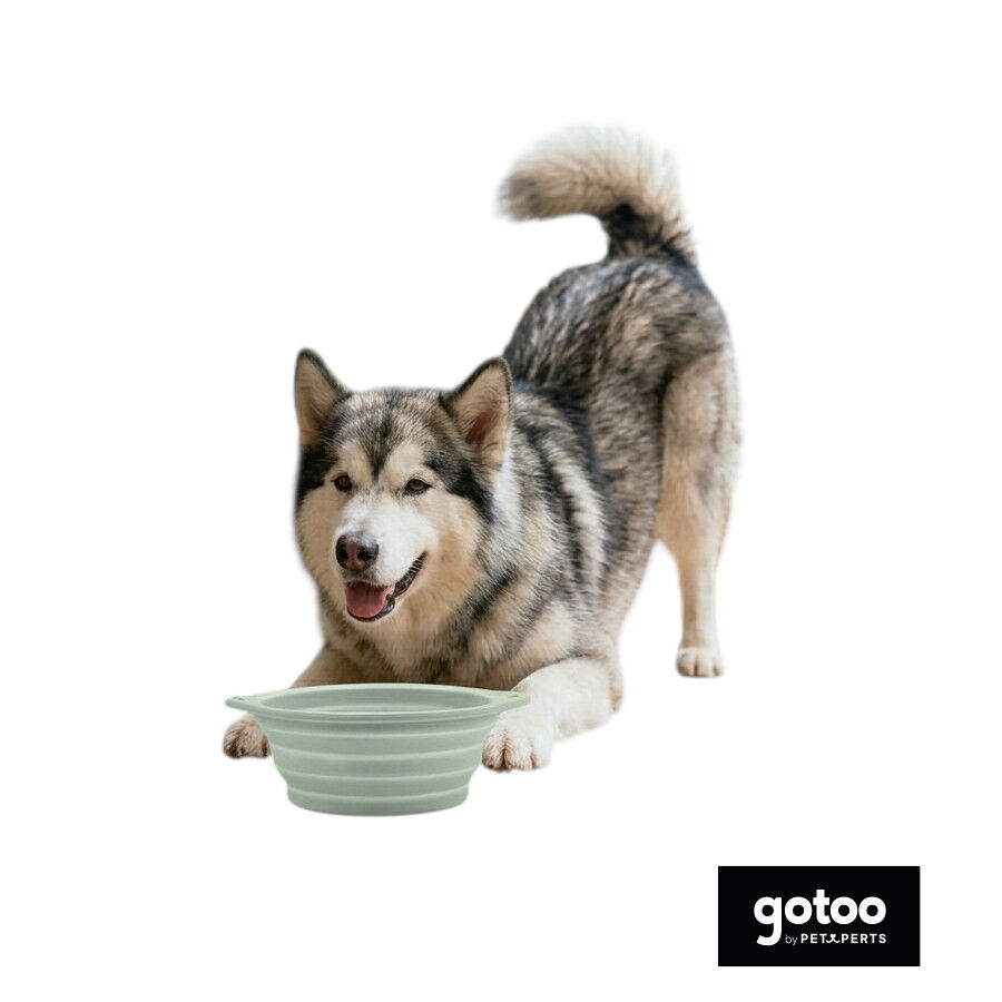 Gotoo Bebedouro Dobr&aacute;vel e Port&aacute;til em Silicone para c&atilde;es e gatos, , large Imagem n&uacute;mero 7