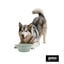 Gotoo Bebedouro Dobr&aacute;vel e Port&aacute;til em Silicone para c&atilde;es e gatos, , large Indicador imagem n&uacute;mero 7