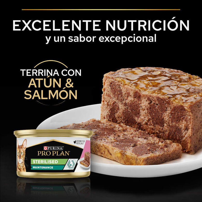 12 latas x 85 g Pro Plan Adult Sterilised Maintenance Alimento húmido de salmão e atum em lata para gatos,  Imagem número 2 12 latas x 85 g Pro Plan Adult Sterilised Maintenance Alimento húmido de salmão e atum em lata para gatos, , large Imagem número 2
