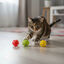 Tootoy! Chase & Play Bola interativa com guizo para gatos, , large Indicador imagem n&uacute;mero 1