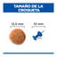 12 kg Hill's Science Plan Perfect Weight Adult Medium Frango ra&ccedil;&atilde;o para c&atilde;es, , large Indicador imagem n&uacute;mero 4
