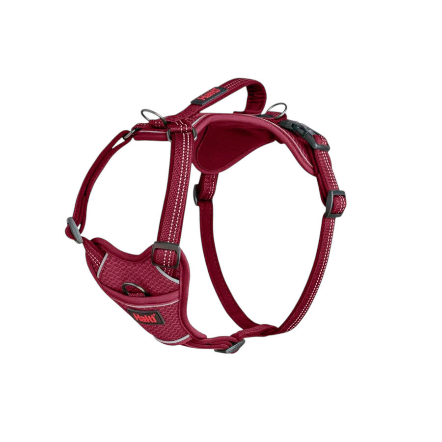 Halti Peitoral Anat&oacute;mico Magenta para c&atilde;es pequenos, , large Imagem n&uacute;mero 1