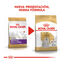 1.5 kg Royal Canin Adult Bichón Maltês ração para cães , , large Indicador imagem número 3