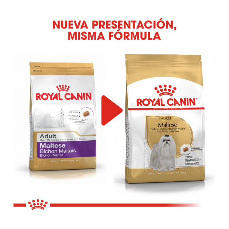 1.5 kg Royal Canin Adult Bichón Maltês ração para cães ,  Imagem número 3 1.5 kg Royal Canin Adult Bichón Maltês ração para cães , , large Imagem número 3