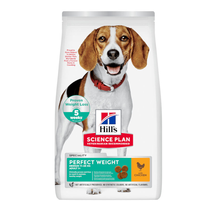 12 kg Hill's Science Plan Perfect Weight Adult Medium Frango ra&ccedil;&atilde;o para c&atilde;es, , large Imagem n&uacute;mero 1