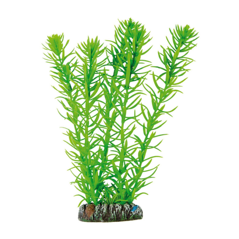 ICA Aquatic Plants Egeria planta artificial para aquários,  Imagem número 1 ICA Aquatic Plants Egeria planta artificial para aquários, , large Imagem número 1