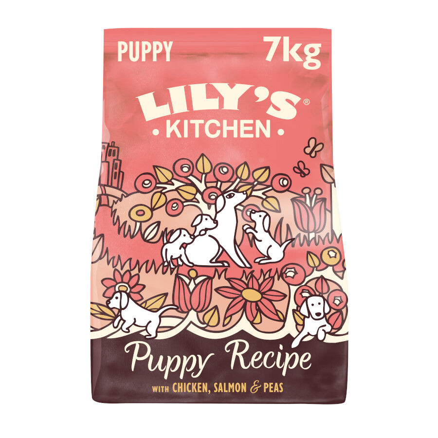7.5 kg Lily's Kitchen Puppy Frango e Salm&atilde;o ra&ccedil;&atilde;o para c&atilde;es, , large Imagem n&uacute;mero 1