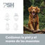 PSH Green Soul Champô para cães e gatos, , large Indicador imagem número 2