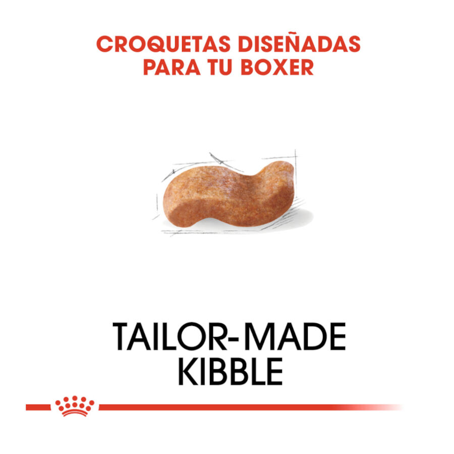 12 kg Royal Canin Adult Boxer ra&ccedil;&atilde;o para c&atilde;es, , large Imagem n&uacute;mero 5