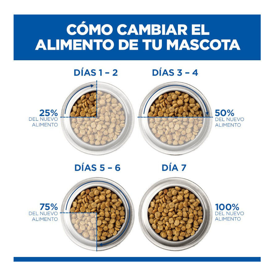 6 kg Hill's Science Plan Perfect Weight Adult Small & Mini Ra&ccedil;&atilde;o para c&atilde;es, , large Imagem n&uacute;mero 6