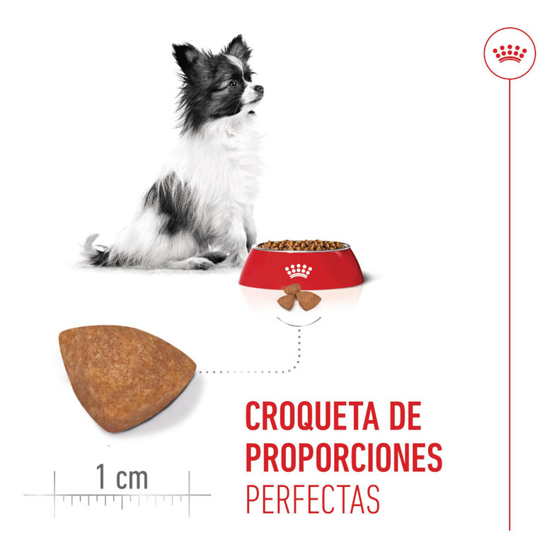 3 kg Royal Canin X-Small Puppy ração para cães,  Imagem número 5 3 kg Royal Canin X-Small Puppy ração para cães, , large Imagem número 5