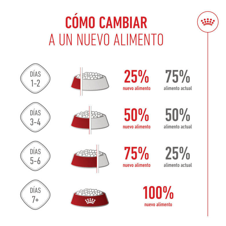 195 g Royal Canin Mother Baby mousse latas para gatos,  Imagem número 10 195 g Royal Canin Mother Baby mousse latas para gatos, , large Imagem número 10