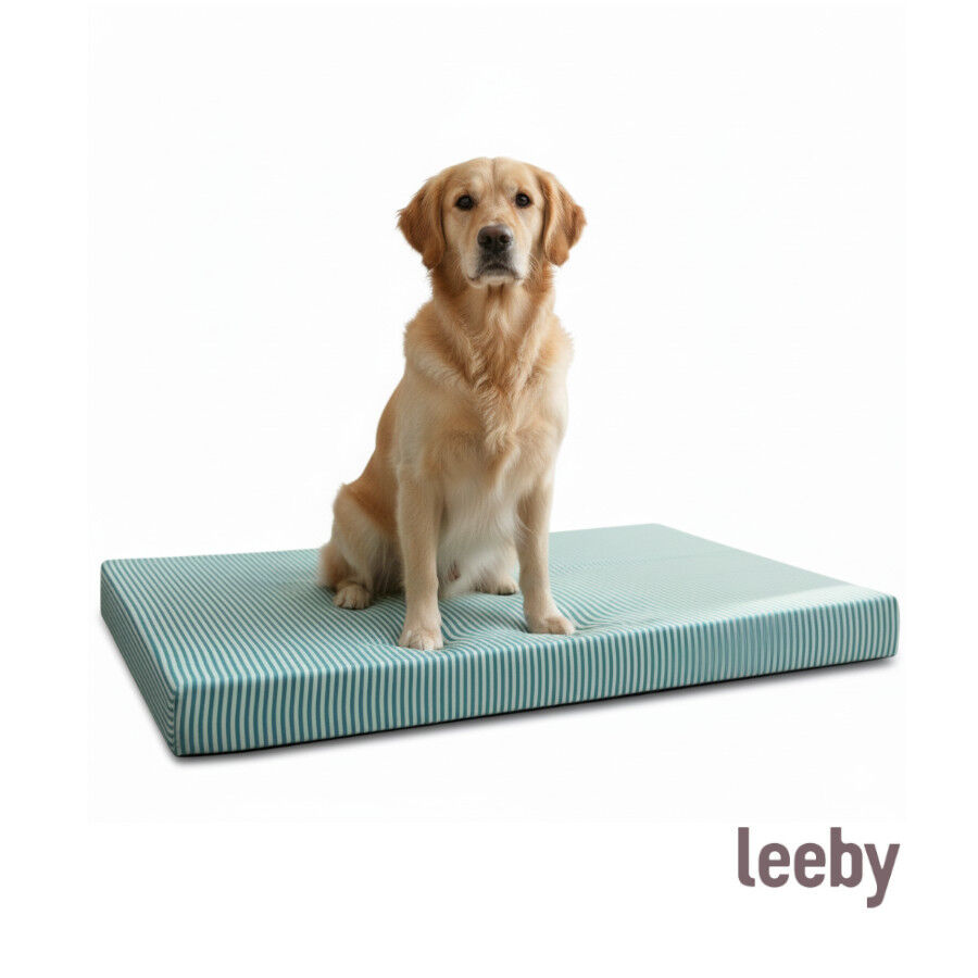 Leeby Colch&atilde;o riscas finas para c&atilde;es, , large Imagem n&uacute;mero 7