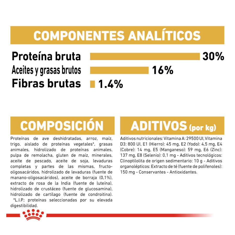 Royal Canin Adult Jack Russell Terrier ra&ccedil;&atilde;o para c&atilde;es, , large Imagem n&uacute;mero 7