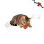 1 pacote Wonder Christmas Cora&ccedil;&otilde;es de Frango Snacks para gatos, , large Indicador imagem n&uacute;mero 1
