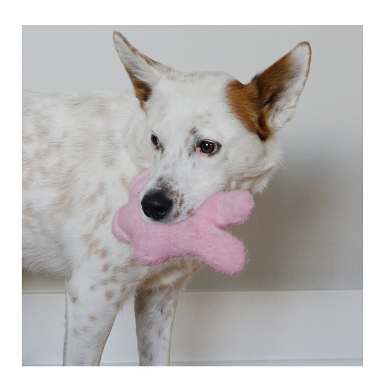 Kong Snuzzles Kiddos Coelho de Peluche para Cachorros,  Imagem número 2 Kong Snuzzles Kiddos Coelho de Peluche para Cachorros, , large Imagem número 2