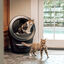 Litter-Robot Caixa de Areia Autom&aacute;tica Preta para gatos, , large Indicador imagem n&uacute;mero 5
