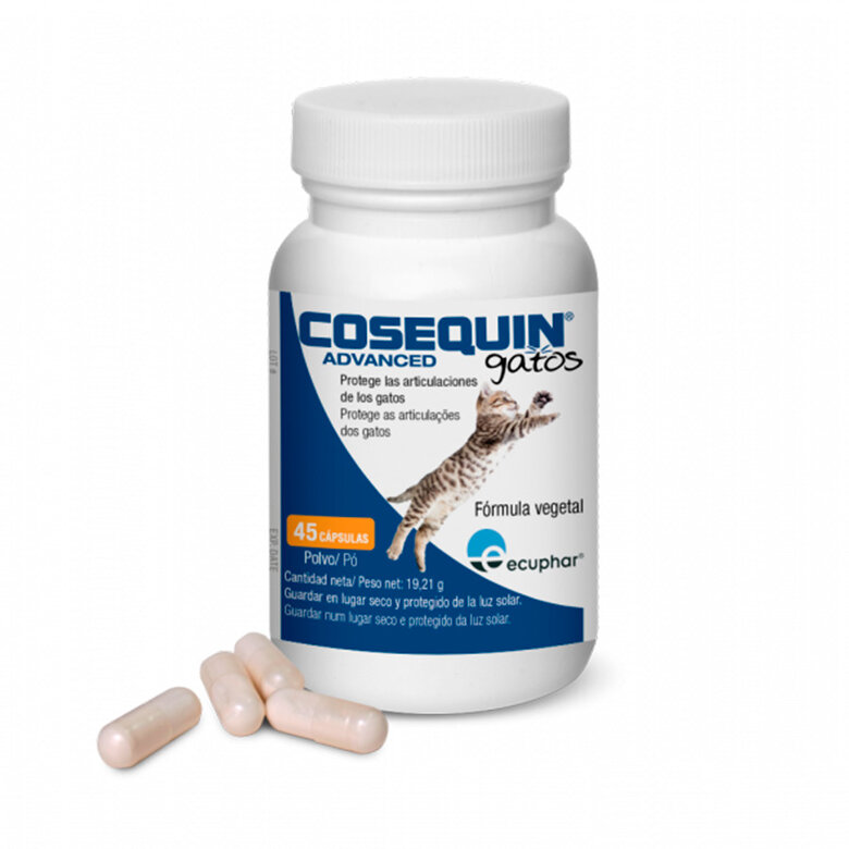 45 comprimidos Ecuphar Cosequin Advanced Condroprotetor Articular em comprimidos para gatos,  Imagem número 1 45 comprimidos Ecuphar Cosequin Advanced Condroprotetor Articular em comprimidos para gatos, , large Imagem número 1