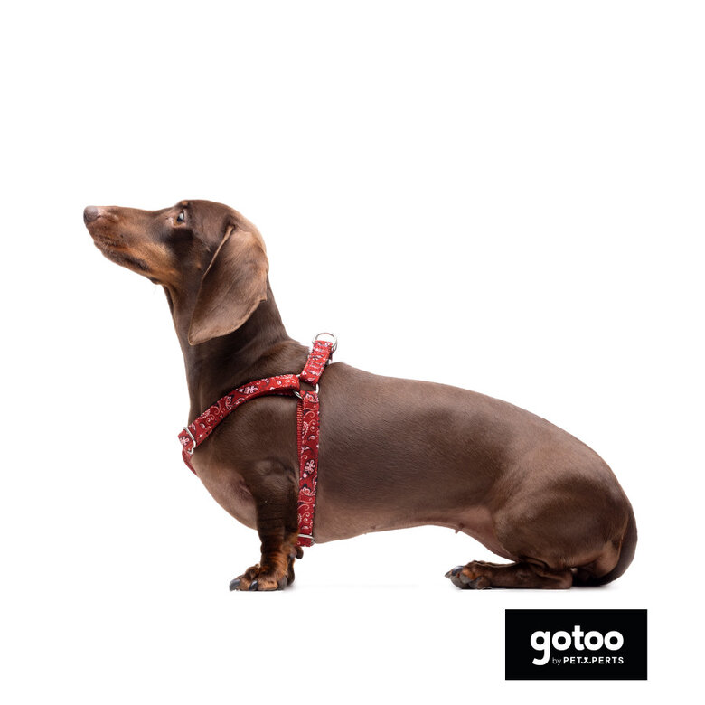 Gotoo Peitoral vermelho estampado caxemira para cães,  Imagem número 3 Gotoo Peitoral vermelho estampado caxemira para cães, , large Imagem número 3