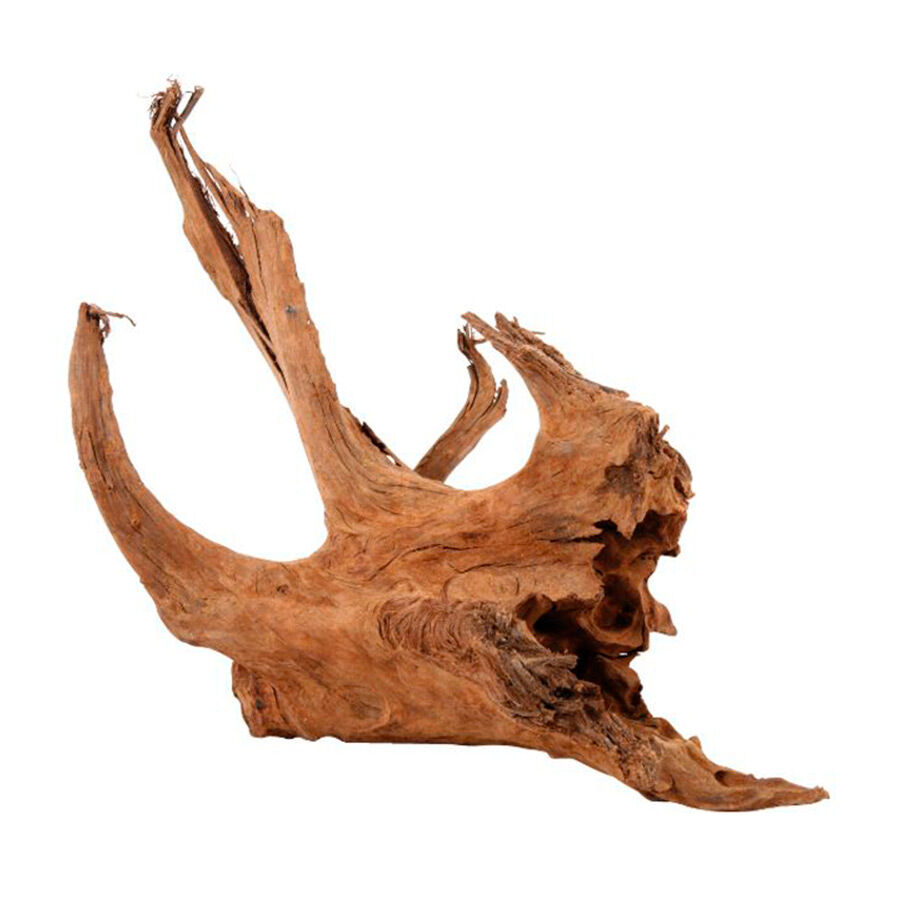 Zolux Raiz de Mangue para aqu&aacute;rios , , large Imagem n&uacute;mero 1