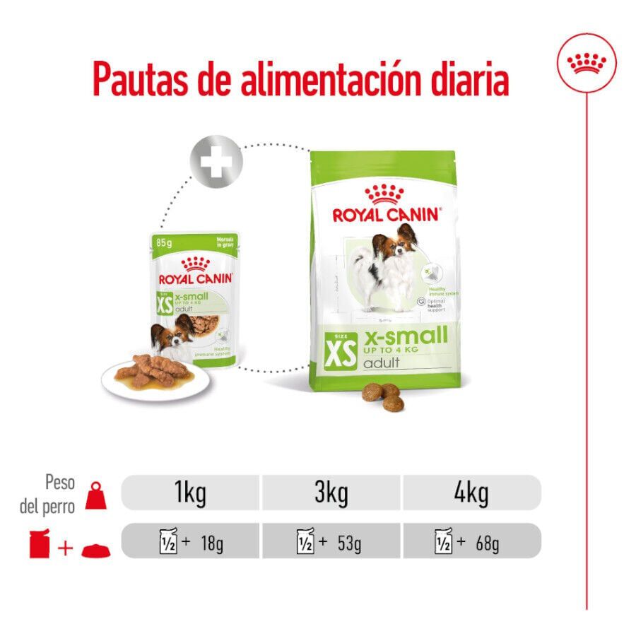 85 g Royal Canin X-Small Adult saquetas com molho para c&atilde;es, , large Imagem n&uacute;mero 2