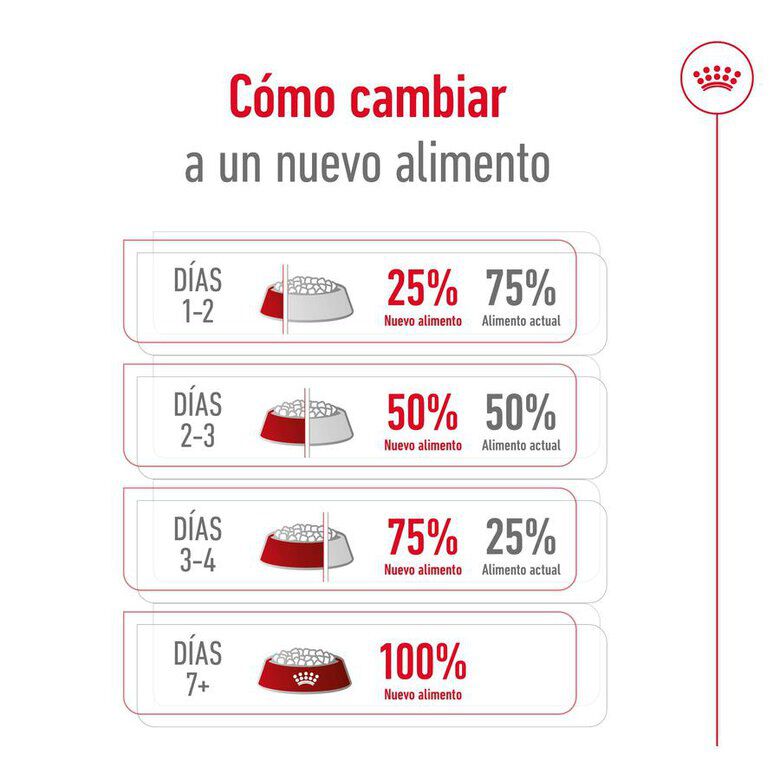 1.5 kg Royal Canin X-Small Ageing 12+ Adult ra&ccedil;&atilde;o para c&atilde;es, , large Imagem n&uacute;mero 11