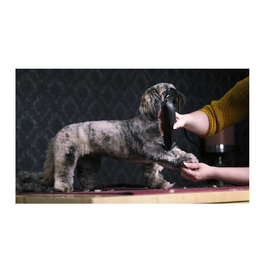 Moser Max 45 M&aacute;quina Cortar pelo para c&atilde;es, , large Imagem n&uacute;mero 2