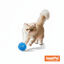 Tootoy! Chase Play Flash Ball Bola para gatos, , large Indicador imagem número 9