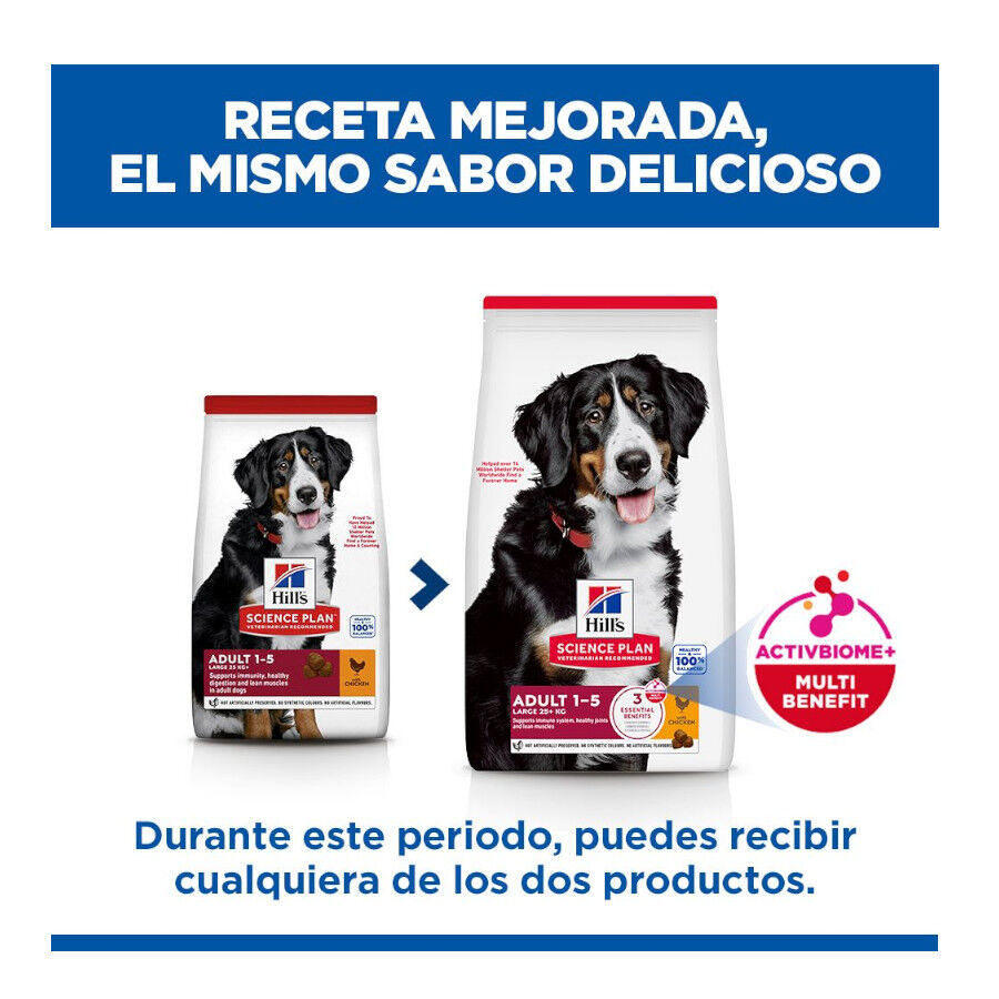 18 kg Hill's Science Plan Large Adult Frango ra&ccedil;&atilde;o para c&atilde;es, , large Imagem n&uacute;mero 3
