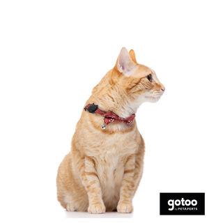 Gotoo Coleira com guizo vermelha para gatos