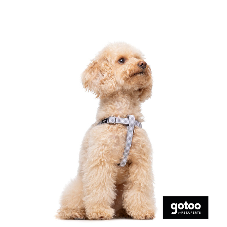 Gotoo Peitoral estampado xadrez vichy cinza para cães,  Imagem número 4 Gotoo Peitoral estampado xadrez vichy cinza para cães, , large Imagem número 4