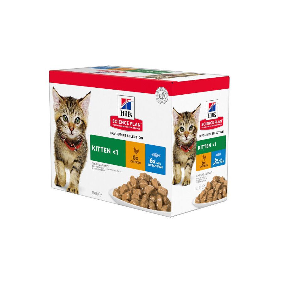 24 saquetas x 85 g Hill's Science Plan Kitten Alimento h&uacute;mido de frango e peixe em saqueta para gatinhos Pack Poupan&ccedil;a!, , large Imagem n&uacute;mero 1