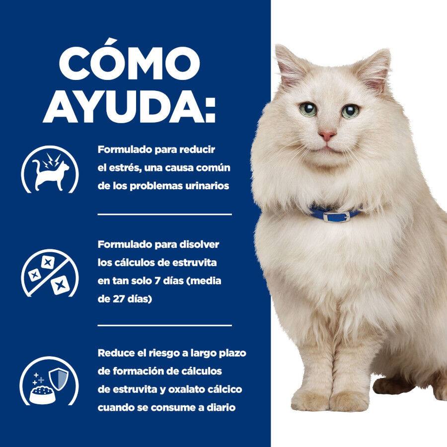 12 kg Hill's Prescription diet c/d Urinary Care frango ra&ccedil;&atilde;o para gatos, , large Imagem n&uacute;mero 5