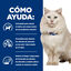 12 kg Hill's Prescription diet c/d Urinary Care frango ra&ccedil;&atilde;o para gatos, , large Indicador imagem n&uacute;mero 5