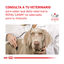 195 g Royal Canin Veterinary Recovery lata para gatos  , , large Indicador imagem número 5