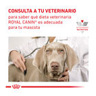 Royal Canin Veterinary Recovery lata para gatos  , , large image number null