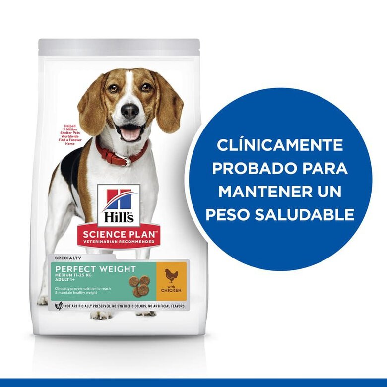 12 kg Hill's Science Plan Perfect Weight Adult Medium Frango ração para cães,  Imagem número 4 12 kg Hill's Science Plan Perfect Weight Adult Medium Frango ração para cães, , large Imagem número 4