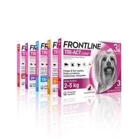 Frontline Tri-Act Pipetas Antiparasitárias para cães