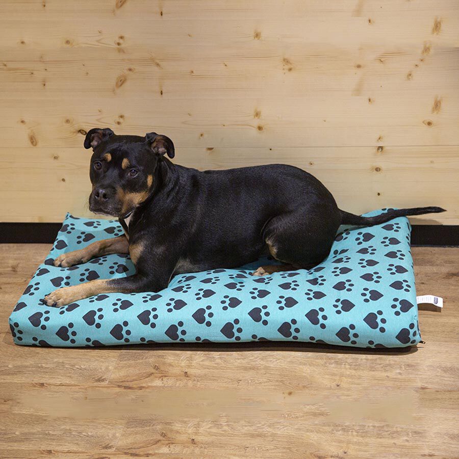 Dogzzz Capa de Colch&atilde;o para animais com Cora&ccedil;&otilde;es e Patas, , large Imagem n&uacute;mero 5