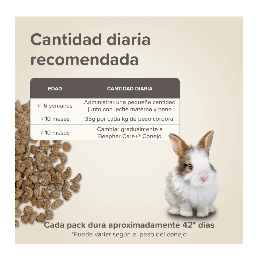 Beaphar Care + ra&ccedil;&atilde;o para coelhos Jr super premium, , large Imagem n&uacute;mero 7