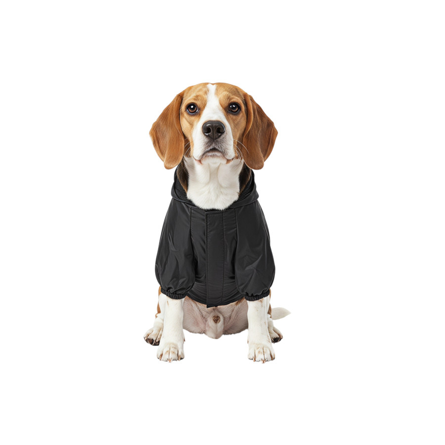 Gotoo Casaco Imperme&aacute;vel Refletor Preto para c&atilde;es, , large Imagem n&uacute;mero 7